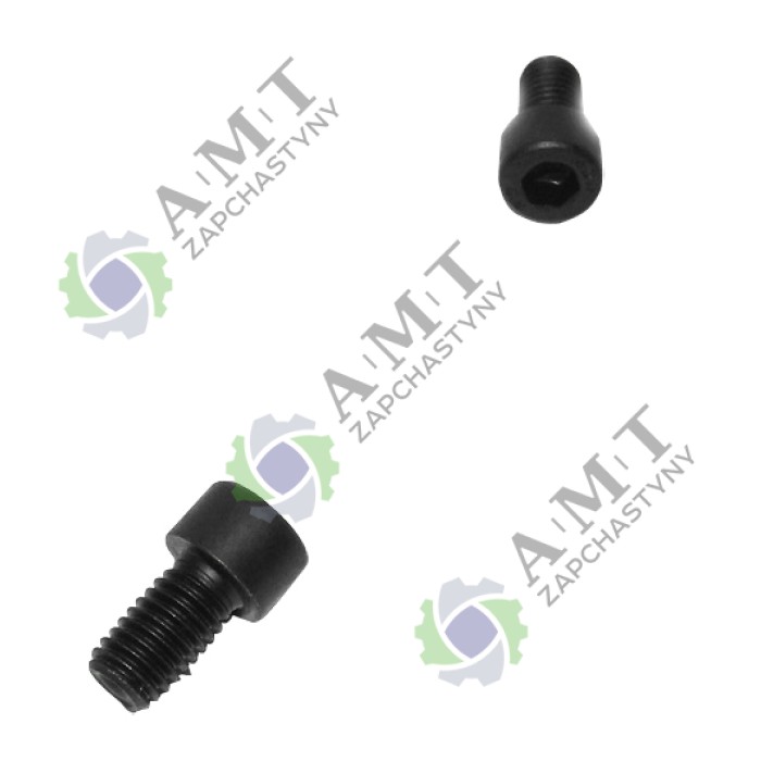 Винт крепления диска (М8х14) Rg 1912XCla-51