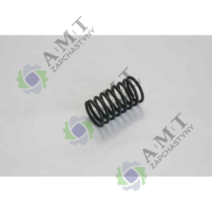 Пружина клапана внутрішня S195-03010ZIRKA GN 151