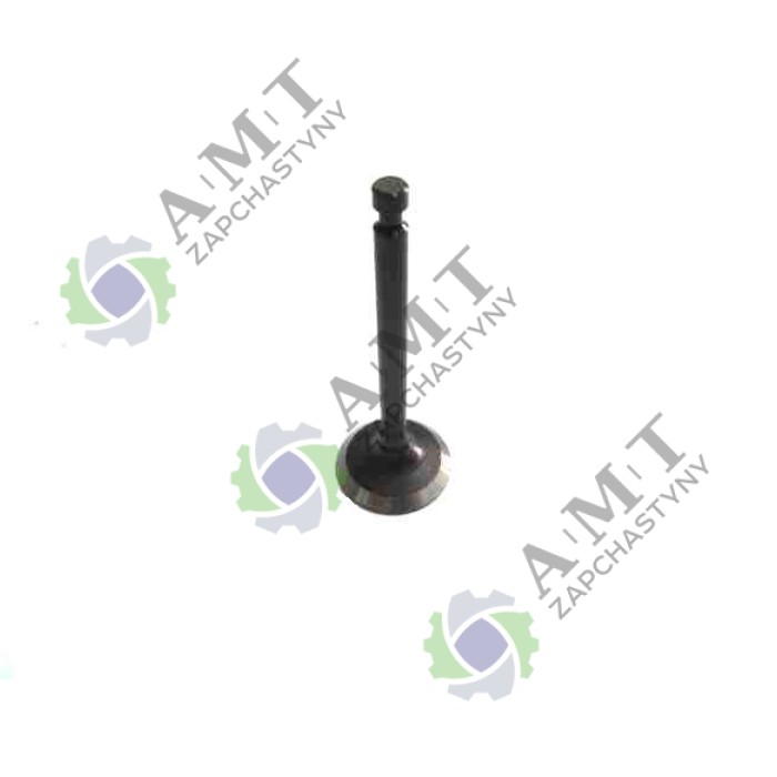 Клапан выпускной ДД173FS Клапан выпускной ДД173FS