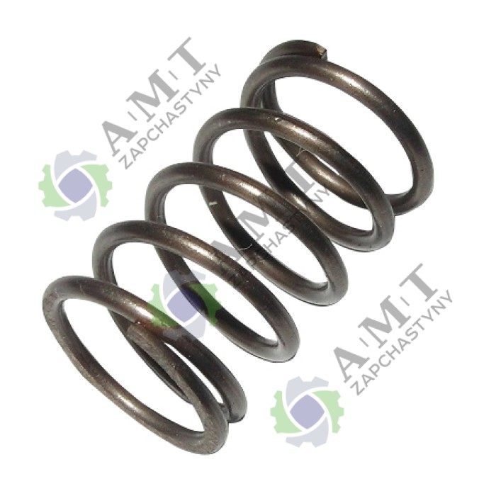 Пружина клапана BK3109-4a -31