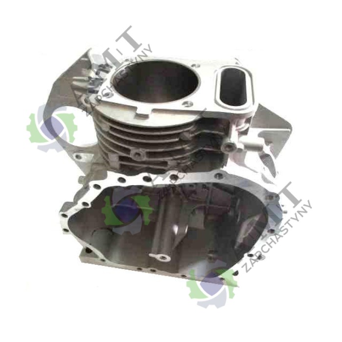 Блок цилиндра ДД173FS