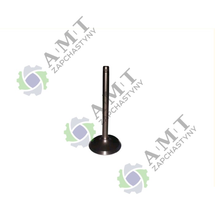 Впускной клапан SP110C-1WQ