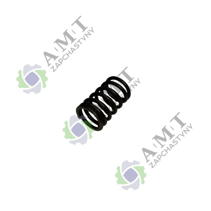 Пружина клапана наружная SP110C-1WQ