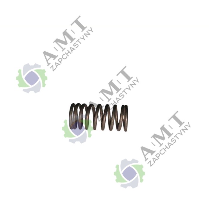 Пружина клапана внутреняя SP110C-1WQ