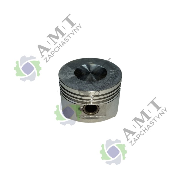 Поршень SP110C-1WQ