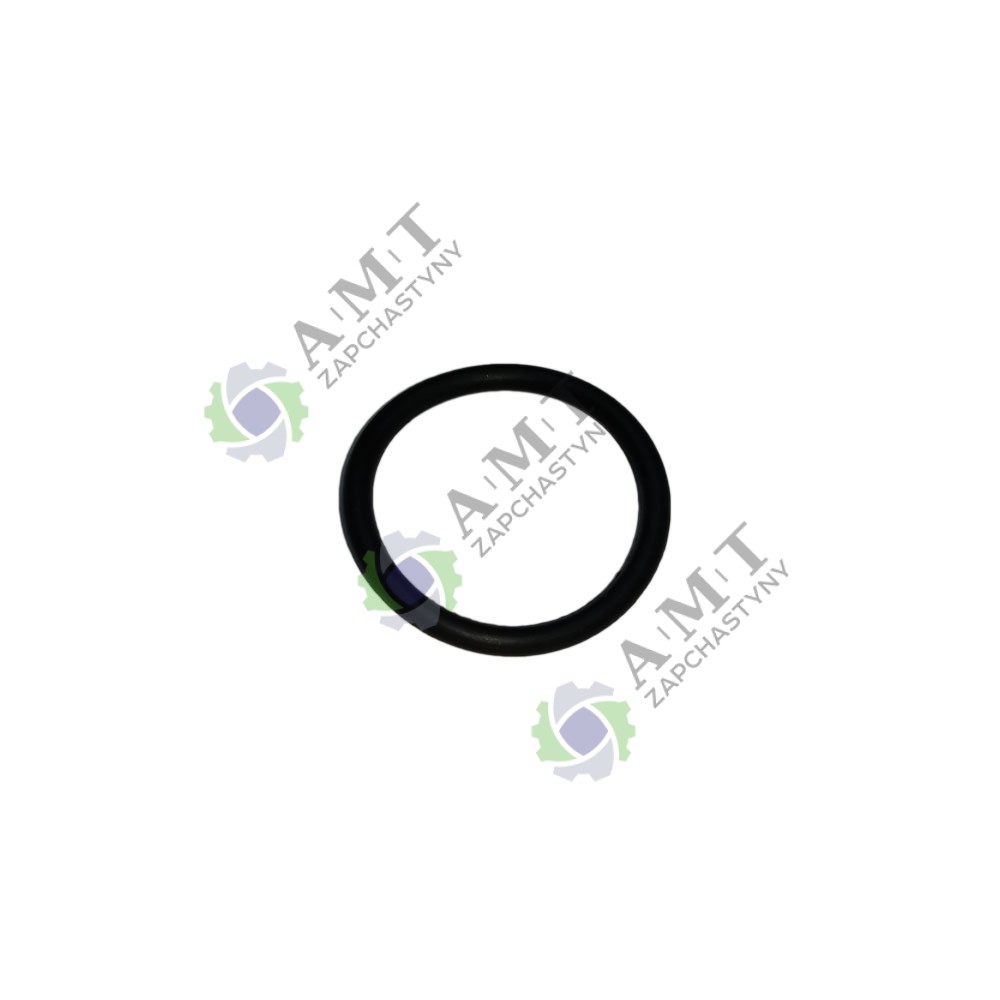 Резиновое кольцо SP110C-1WQ
