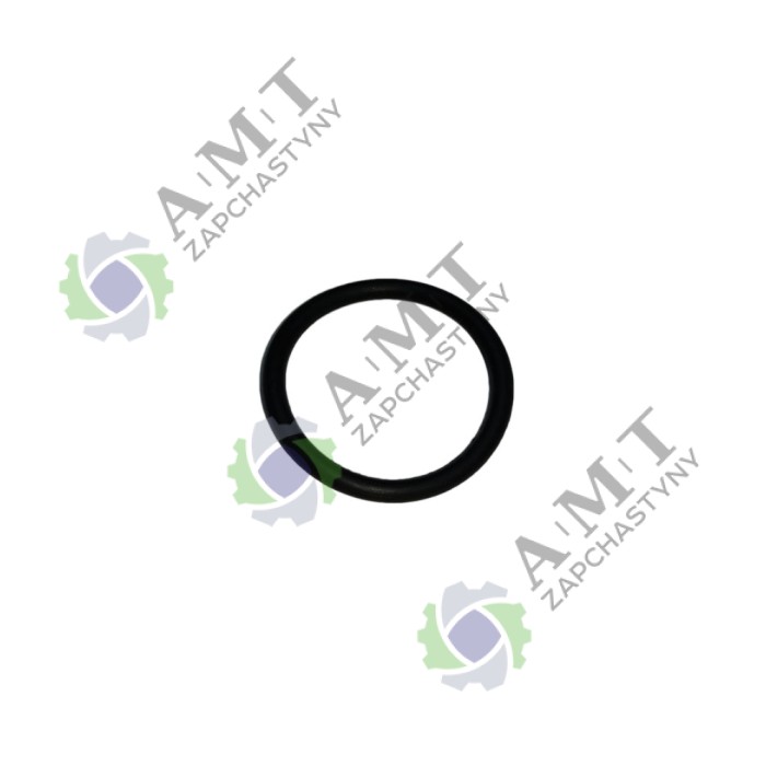 Резиновое кольцо SP110C-1WQ