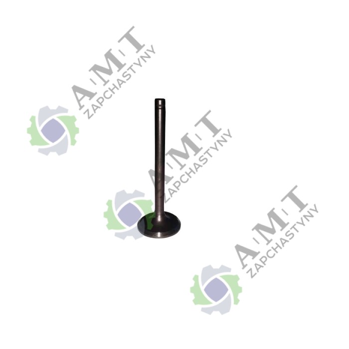 Впускной клапан SP125C-2XWQ