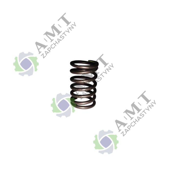 Пружина клапана наружная SP125C-2XWQ
