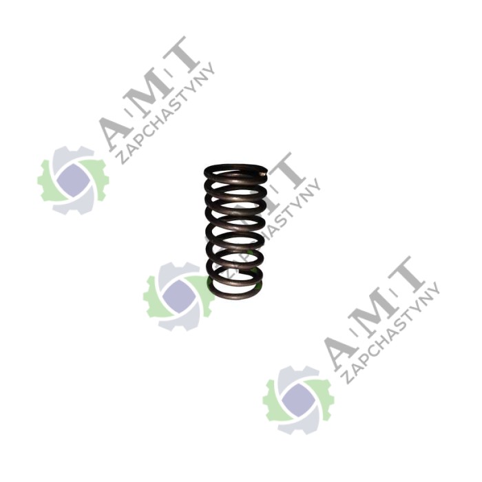 Пружина клапана внутреная SP125C-2XWQ
