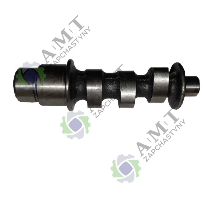 Вал распределительный ДД173FS