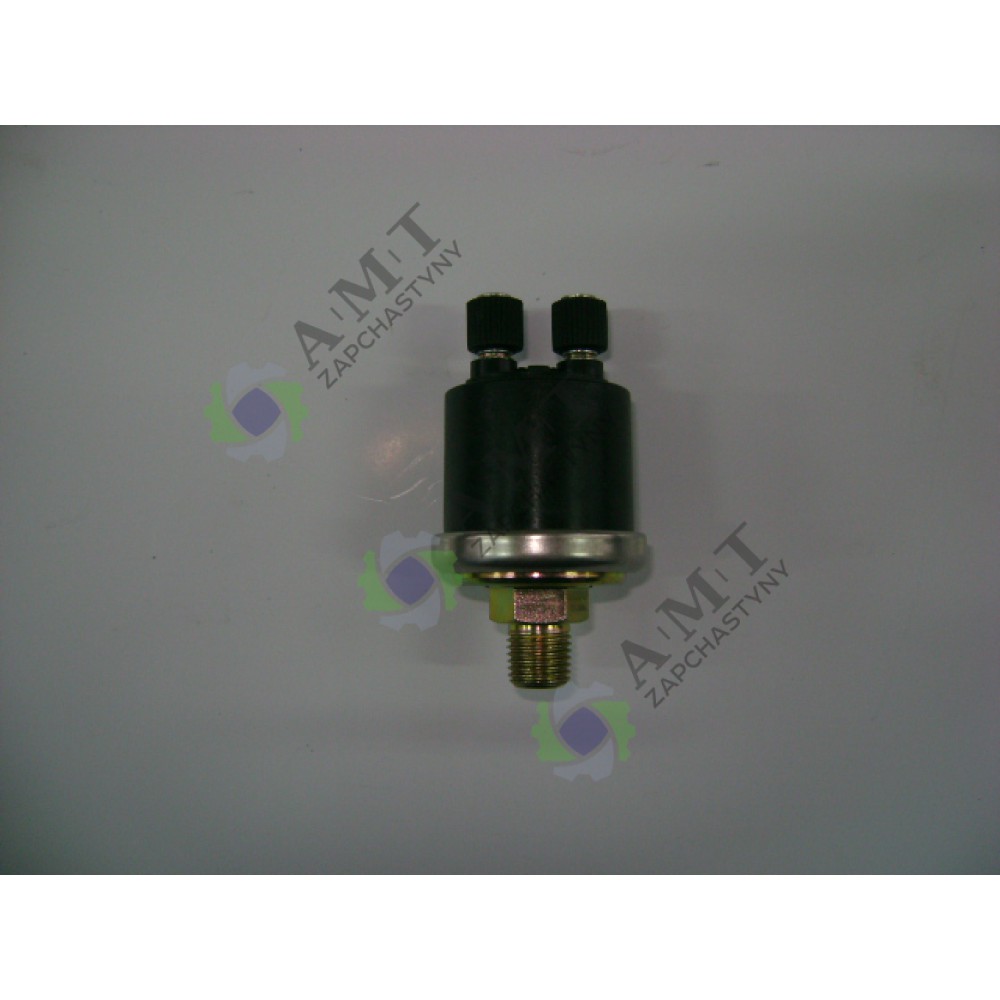 Датчик давления масла (2-х контактный) ZN490BT