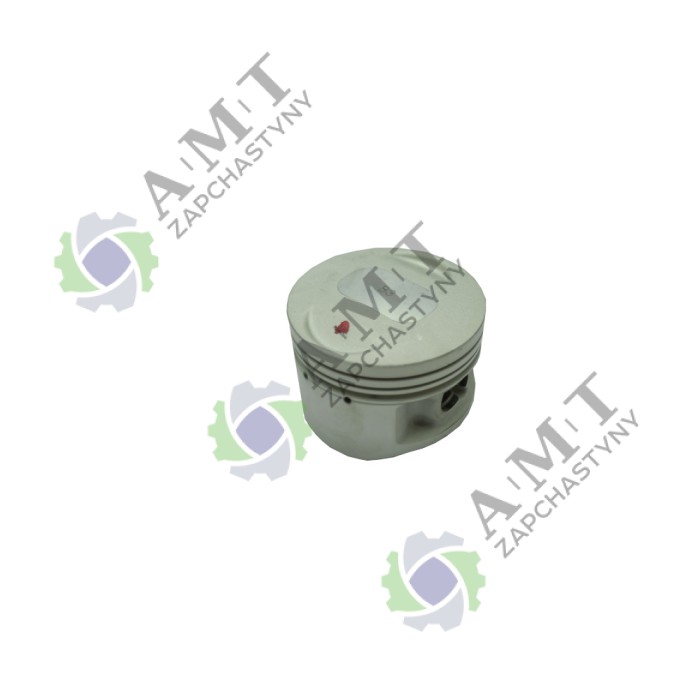 Поршень SP200D-1