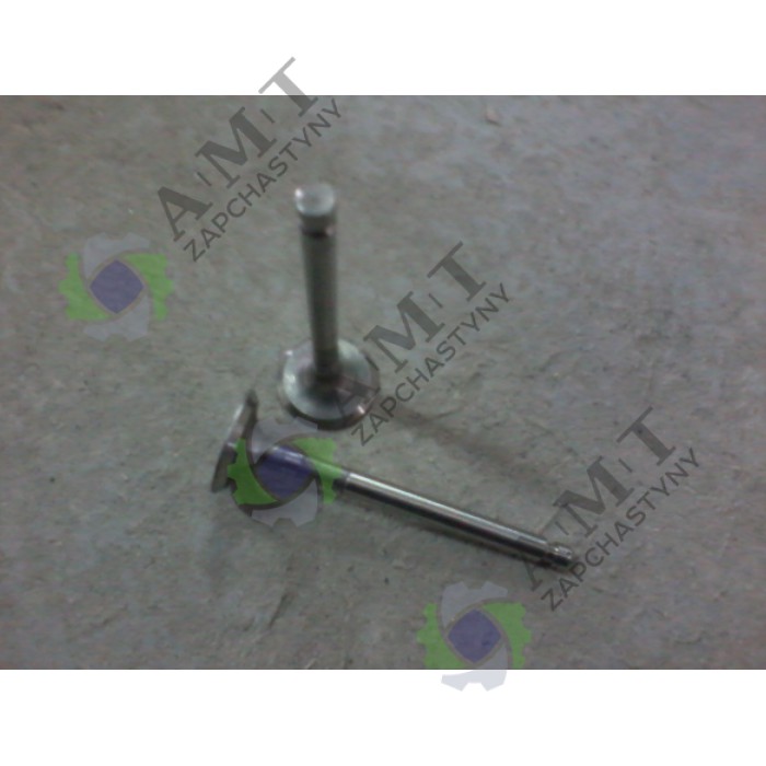 Клапан впускной ERS 4.6d-B3