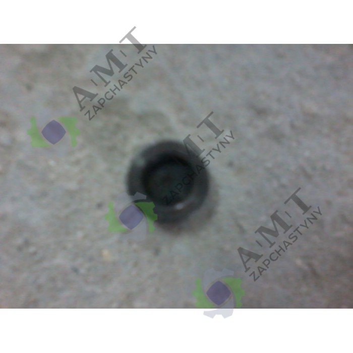 Колпачок регулировки клапана ERS 4.6d-B17 Колпачок регулировки клапана ERS 4.6d-B17