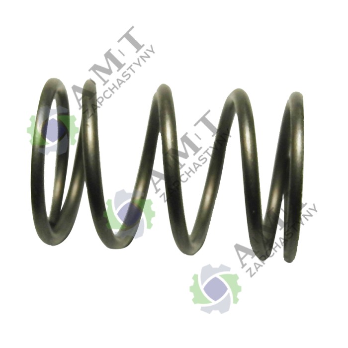 Пружина клапана віброрейки Vitals