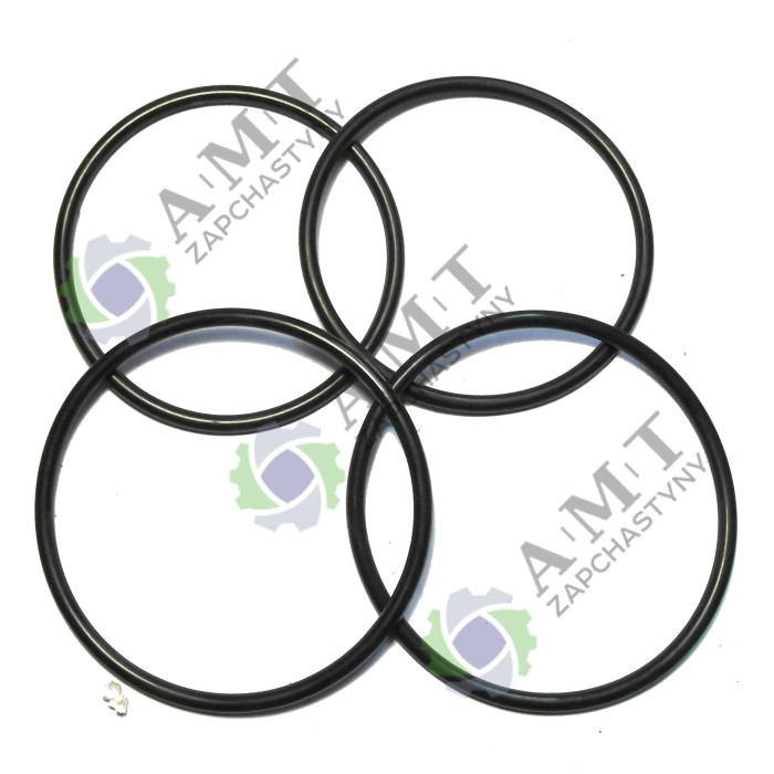 Комплект ущільнювальних кілець (4 шт) вібротрамбовки Кентавр