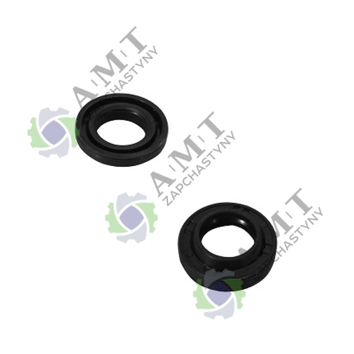 Сальник (12х20х4) плунжера насоса високого тиску