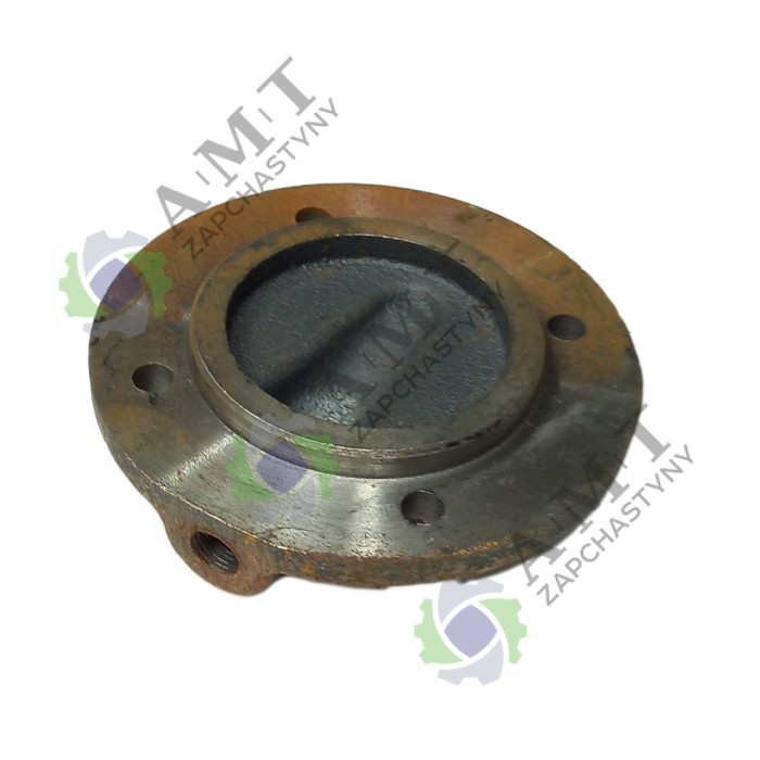 Крышка корпуса поворотного кулака нижняя DW244AHT