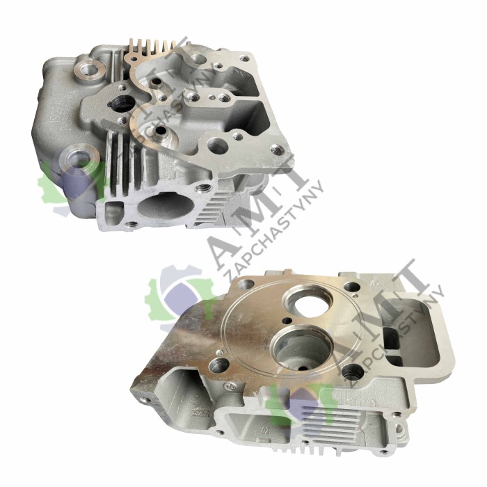 Головка блок-цилиндра (голоя) ДД 192FA