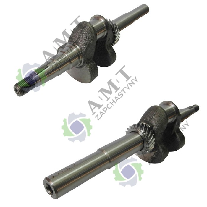 Вал колінчастий (165F) (Dвала=22 мм, Lхвост1=65 мм, Lзагальна=289 мм, шпонка 5х5 мм, М8) газонокосарки 4