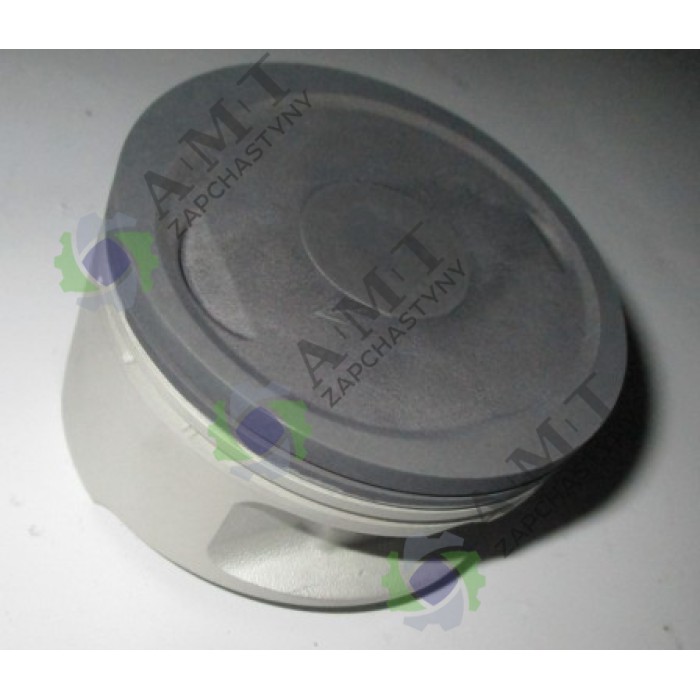 Поршень SP300-1/300-2