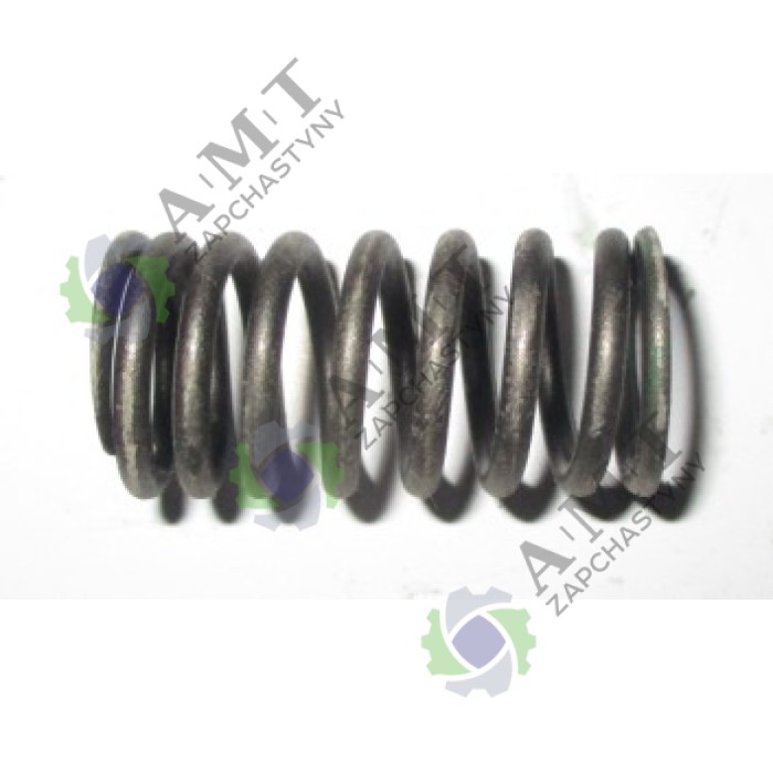 Пружина клапана впускного SP300-1/300-2