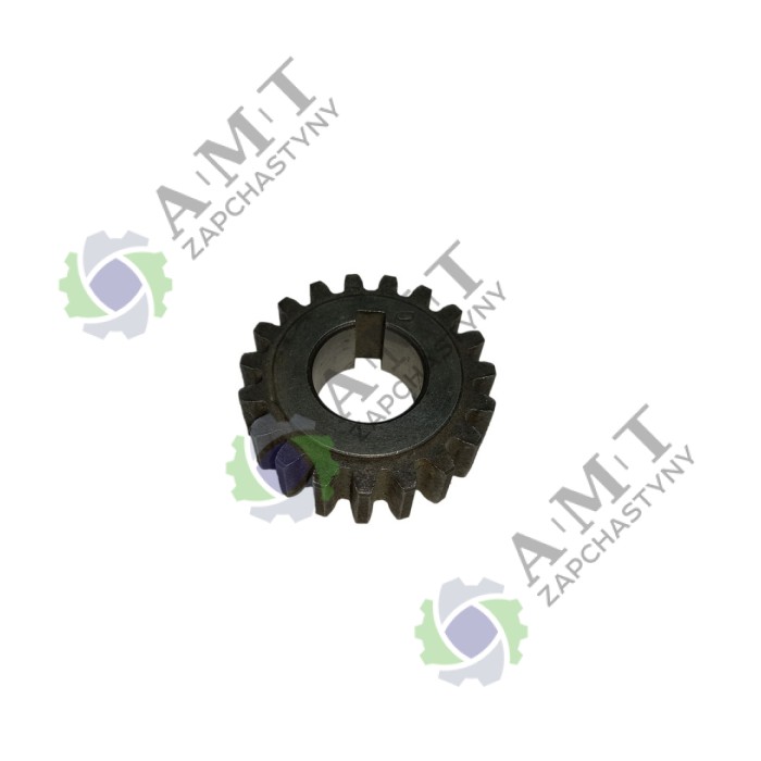 Шестерня третья МБ1070/SH-61 (z=19, под шпонку)