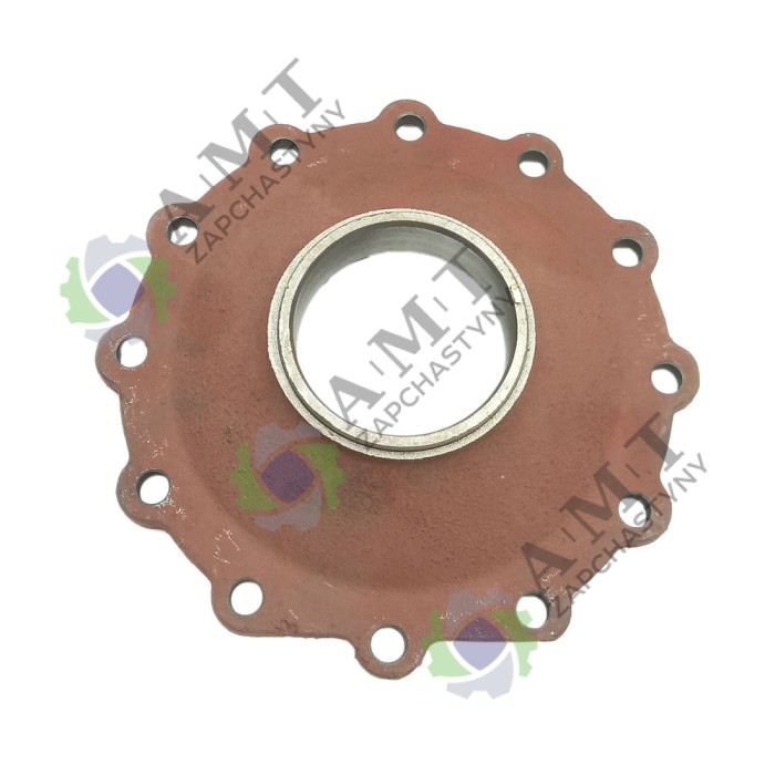 Крышка поворотного кулака DF244DHX/DHL