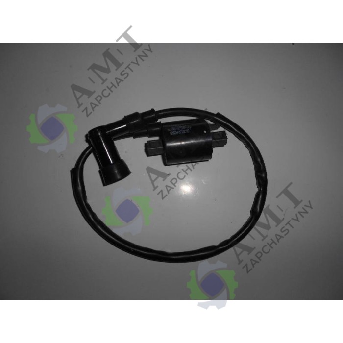 Катушка зажигания FT150ZH/FT200ZH/SP125TR-2/GW200ZH-E Катушка зажигания FT150ZH/FT200ZH/SP125TR-2/GW200ZH-E