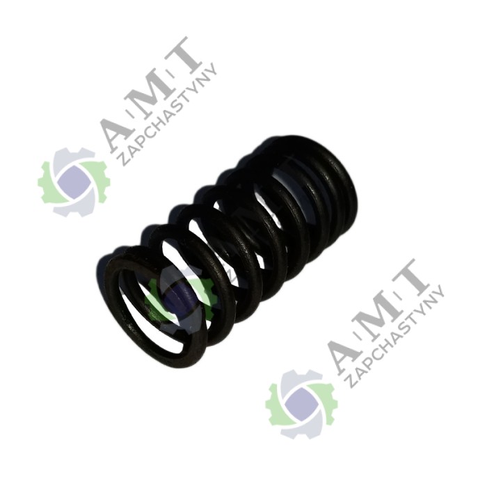 Пружина клапана внутренняя SP110C-1A