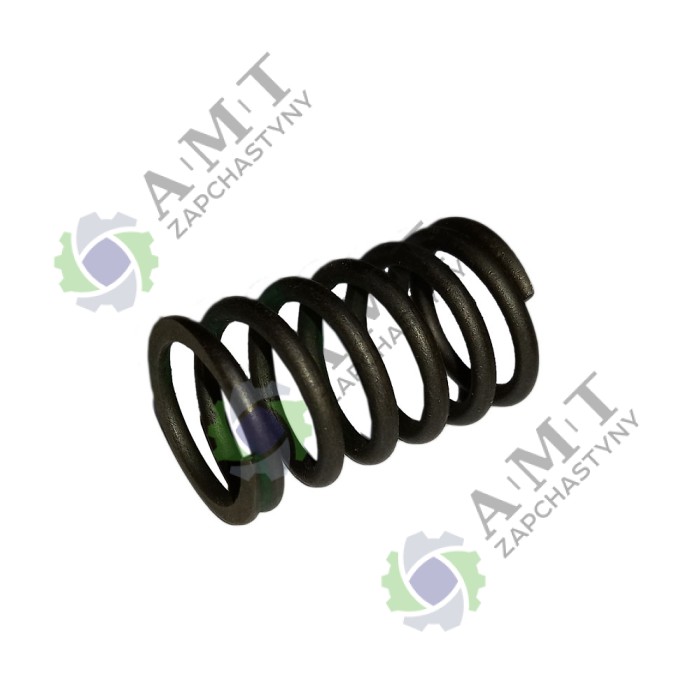 Пружина клапана наружная SP110C-1A
