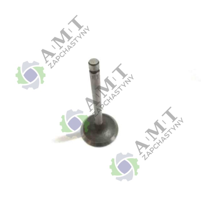 Клапан впускной ДД170FS Клапан впускной ДД170FS