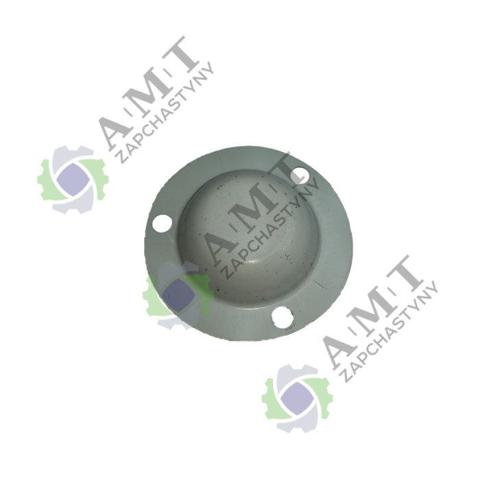 Крышка ступицы переднего колеса DW 150R