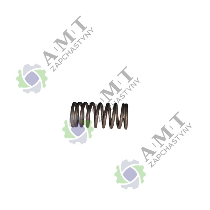 Пружина клапана внутренняя SP150-2