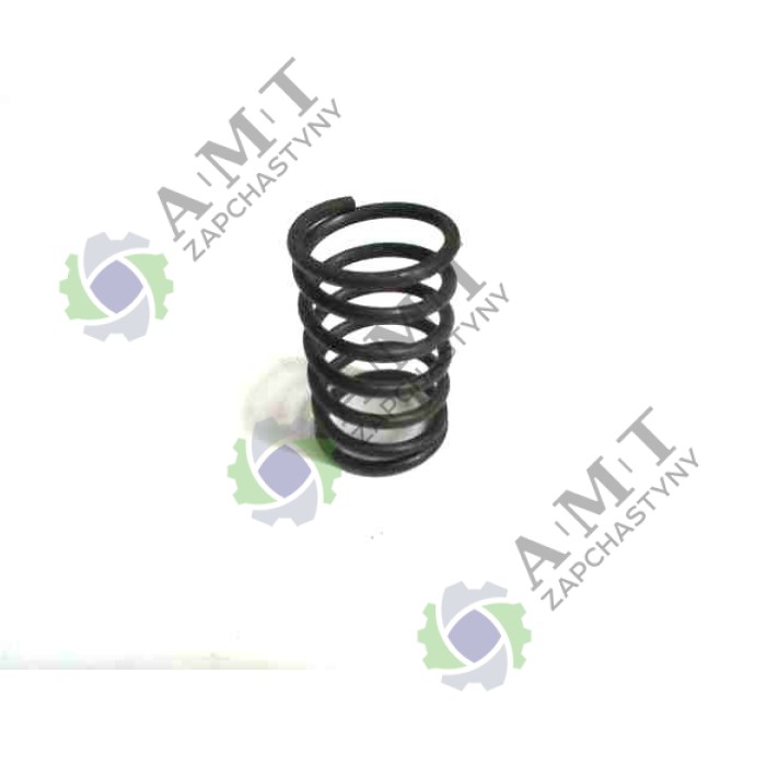 Пружина клапана внутренняя R195