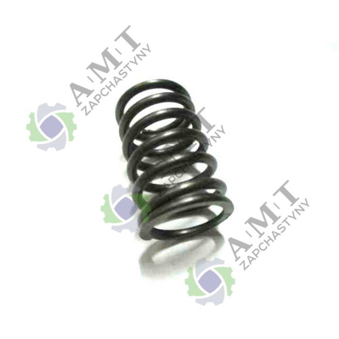 Пружина клапана SP150S-17