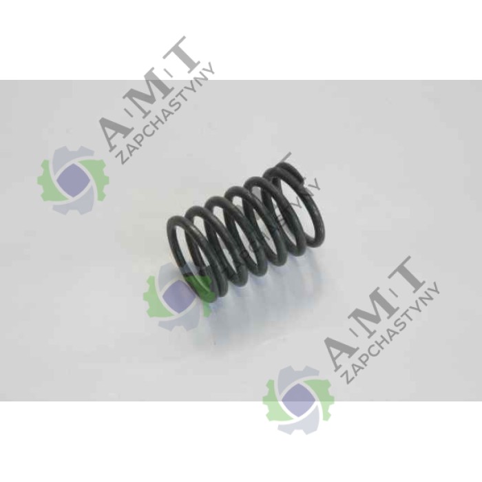Пружина клапана наружная S195-03009-1ZIRKA GN 151 Пружина клапана наружная S195-03009-1ZIRKA GN 151