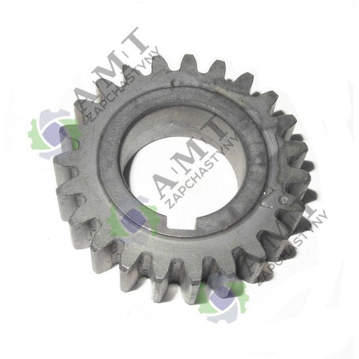 Шестерня вала распределительного (ведущая) EWI 10-3daps, EWI 10daps - 5*1