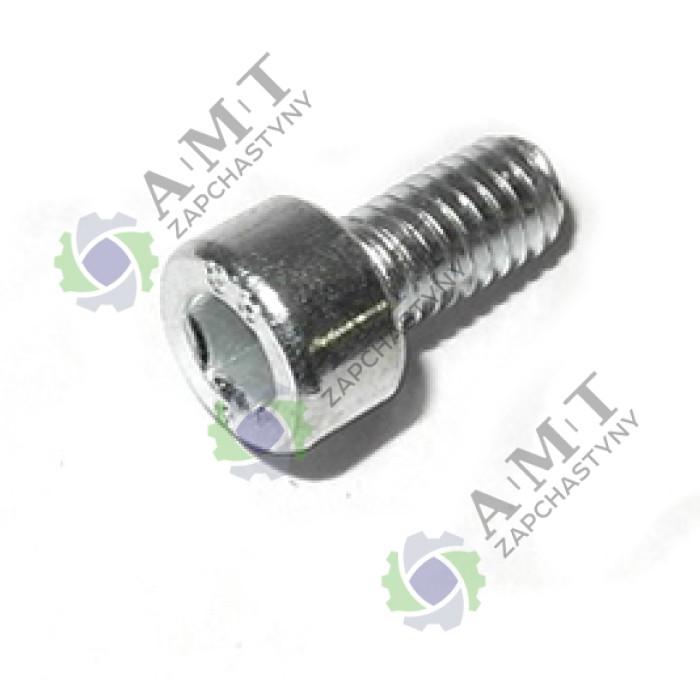 Винт крышки натяжителя цепи PL 5031ms Винт крышки натяжителя цепи PL 5031ms