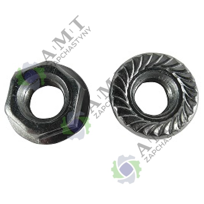 Гайка М8 (ротора) EKZ2040-35 Гайка М8 (ротора) EKZ2040-35