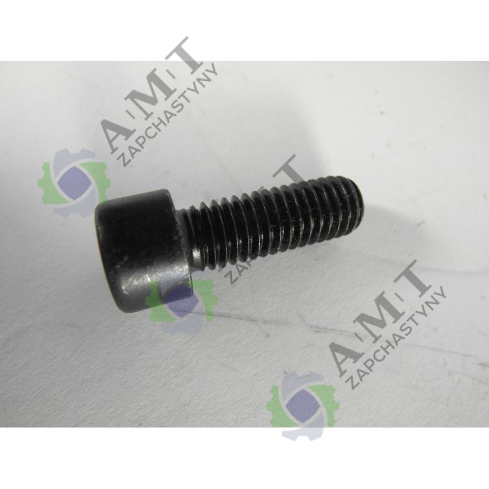 Винт крепления вала коленчатого КП-5020В-20