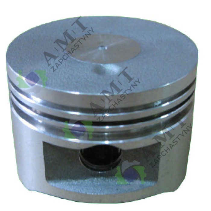 Поршень (D=39 мм) 255GC2-Q
