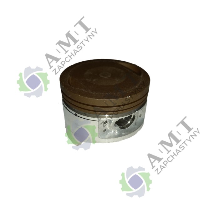 Поршень FT200ZH