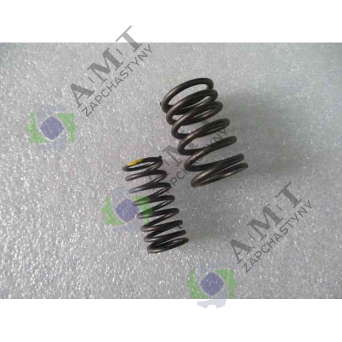 Пружина клапана (к-т) SP125C-2X