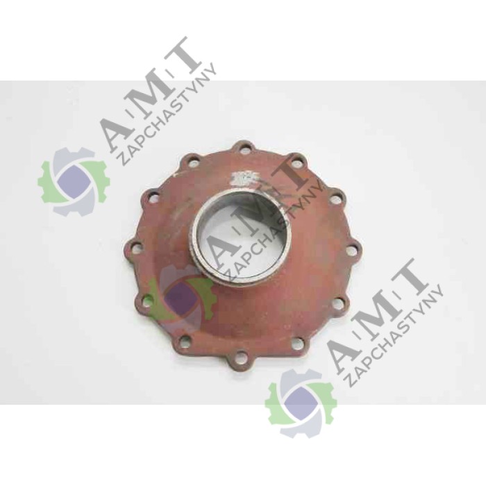 Крышка поворотного кулака DF244