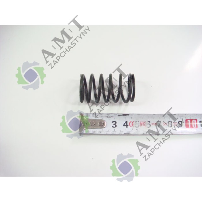 Пружина клапана внутренняя SL3100AB