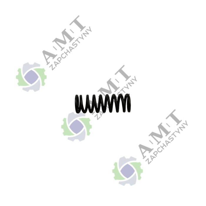 Пружина фиксации оси вилки FT250/254