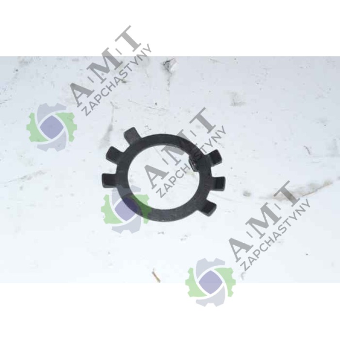 Шайба 24 JB/T982-24 FT240/244