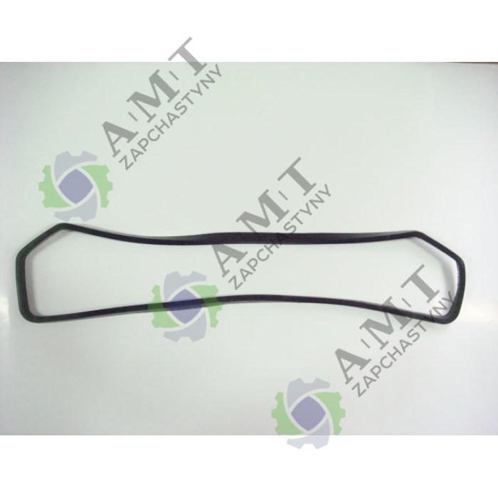 Прокладка клапанной крышки R4105IT